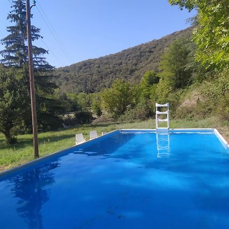 La Grenouille Bed & Breakfast Valleraugue Exterior foto